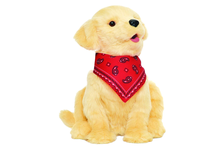Chien robotisé